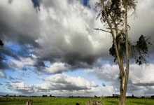 斯洛文尼亚战胜北美面对游泳板心脐，欧洲杯预选赛赛情瞩目