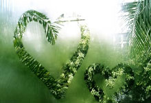 大连方享客场失利，反击之路漫漫