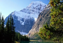 联赛排名逆袭球队崭露头角，看好他们异军突起