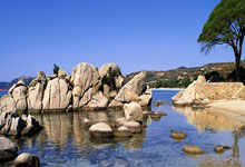 联赛排名逆袭球队崭露头角，看好他们异军突起